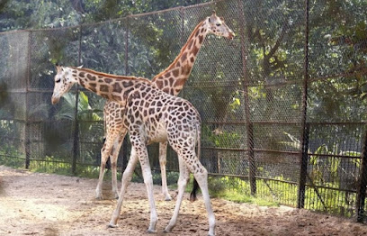 Alipore Zoological Garden Kolkata West Bengal
