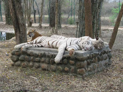 Bannerughatta Biological Park Bengaluru Karnataka
