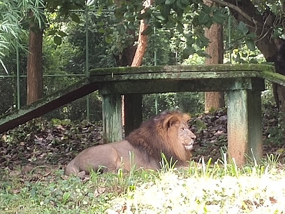 Bhagwan Birsa Biological Park Ormanjhi Jharkhand