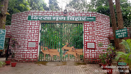 Bhagwan Birsa Mrig Vihar Kalamati Jharkhand