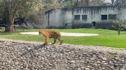 Chhatbir Zoo Zirakpur Chandigarh