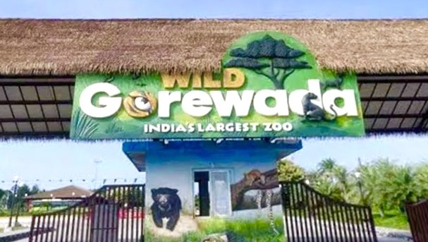 Gorewada Zoo Nagpur Maharashtra