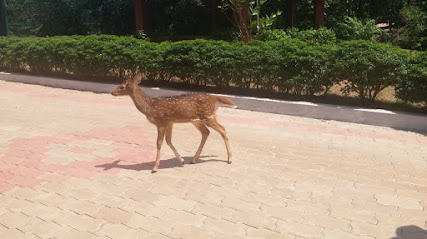Pilikula Biological Park Mangaluru Karnataka