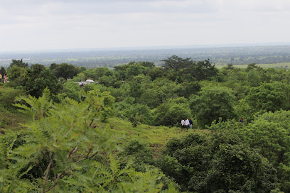 Anantagiri Hills Vikarabad Telangana