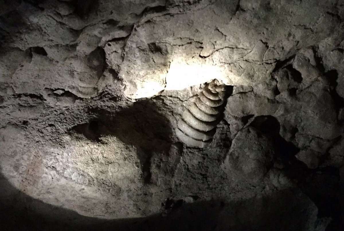 Arwah Cave Cherrapunji Meghalaya