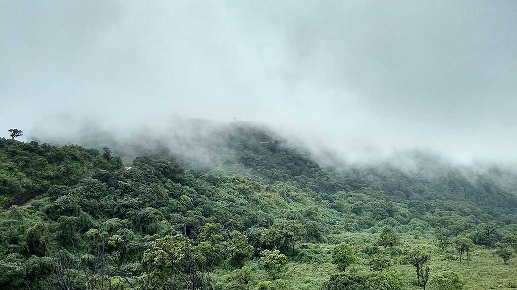 Baba Budan Giri Chikkamagaluru Karnataka