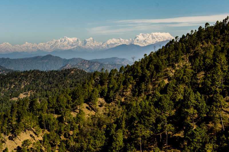 Binsar Zero Point Binsar Uttarakhand