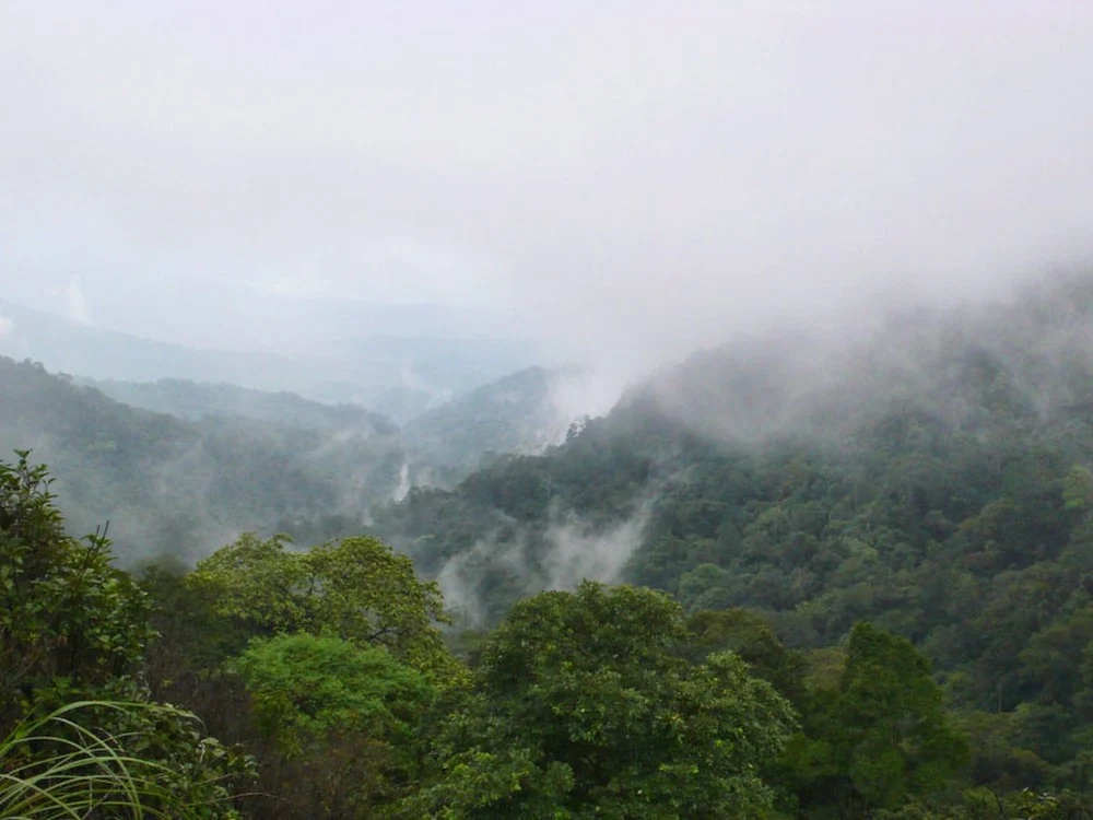 Brahmagiri Wildlife Sanctuary Vellad Karnataka