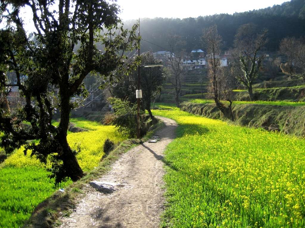 Dharamkot Mcleoganj Himachal Pradesh
