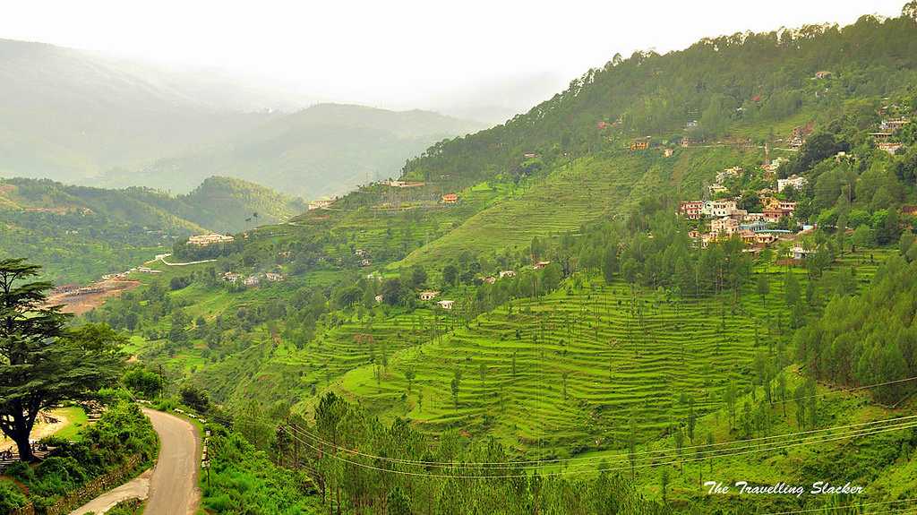 Jalna Almora Uttarakhand