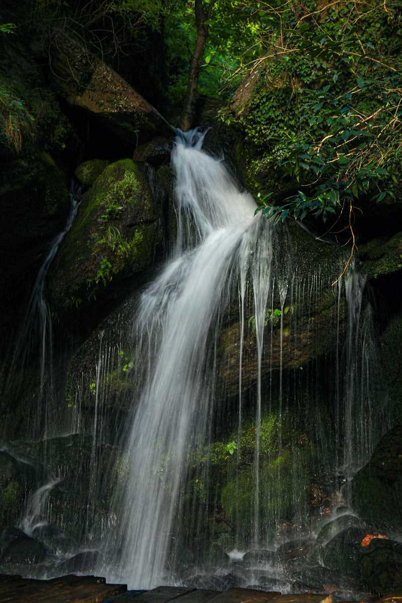 Jana Waterfall Jana Himachal Pradesh
