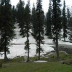 Khilanmarg-Gulmarg-Jammu and Kashmir