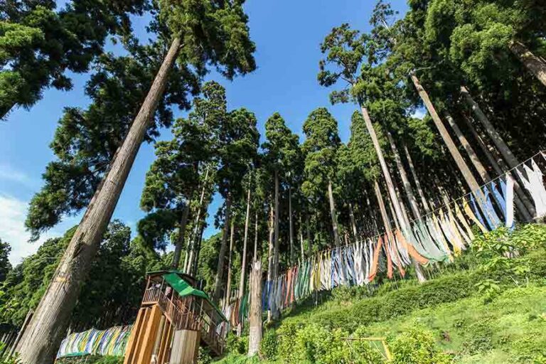 Lamahatta Eco Park Darjeeling West Bengal