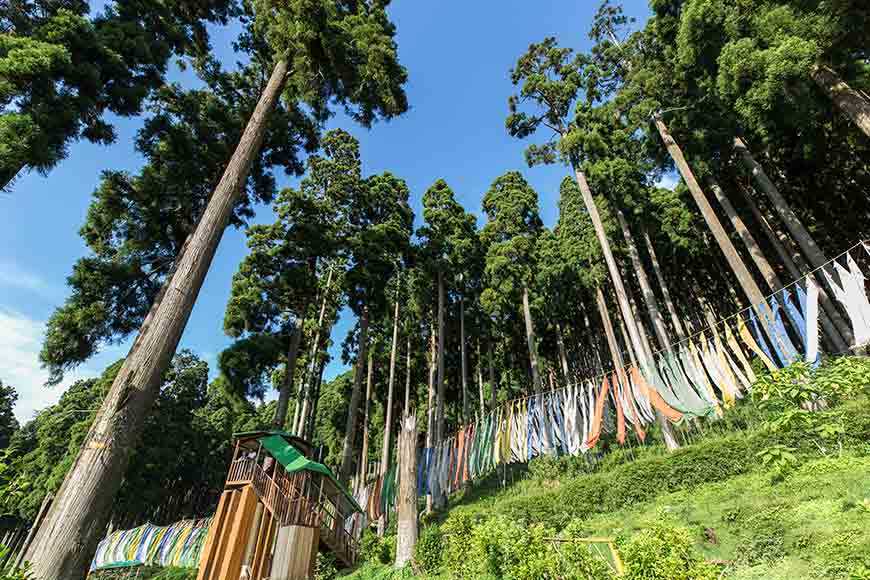 Lamahatta Eco Park Darjeeling West Bengal