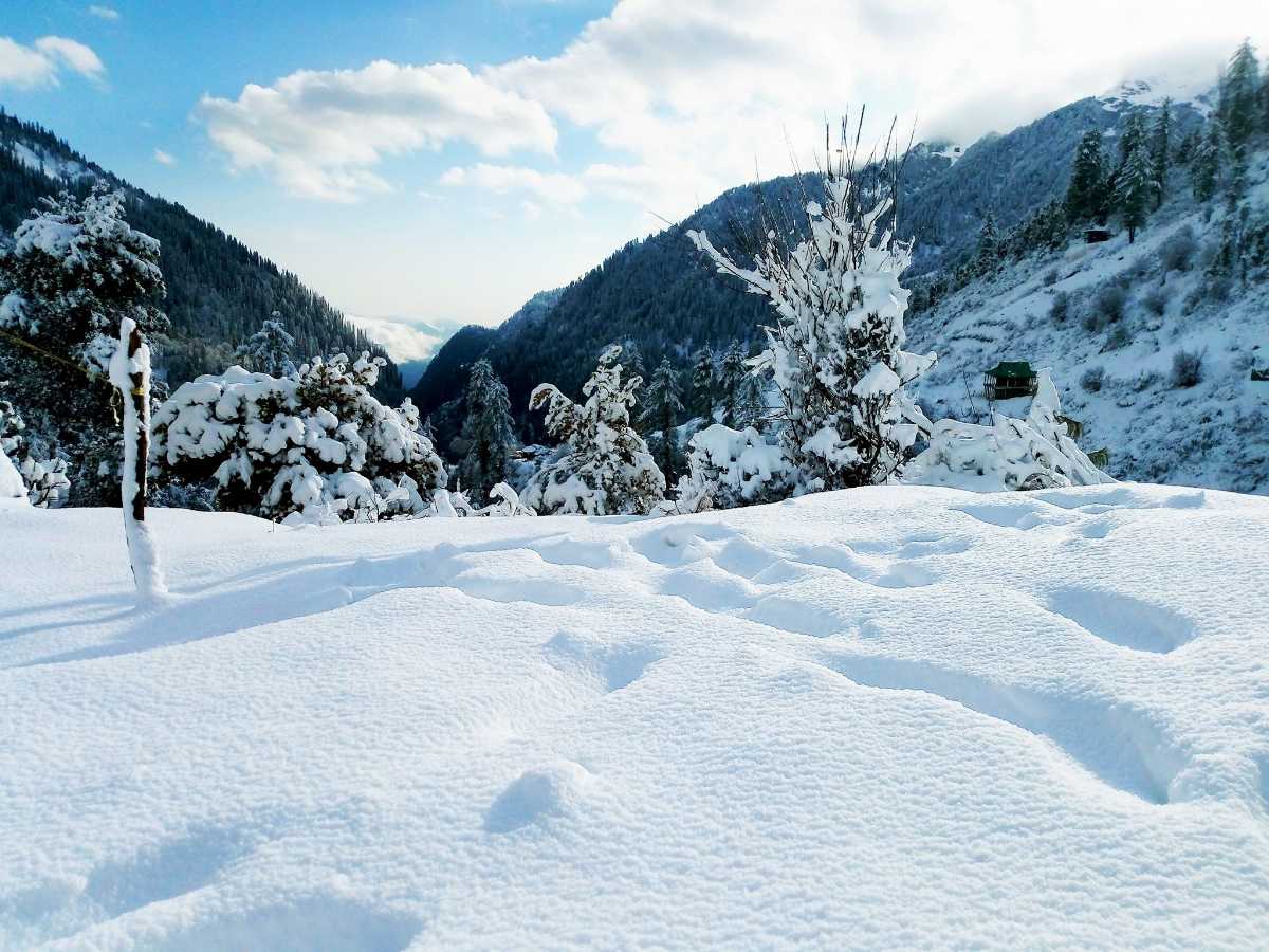 Magic Valley Kasol Kullu Himachal Pradesh