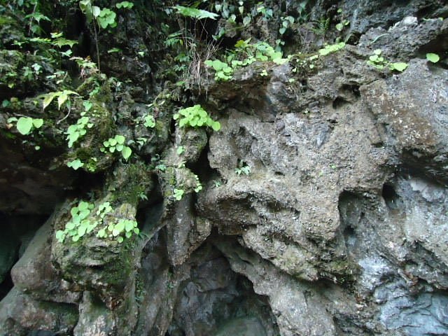 Mawsmai Cave Cherrapunji Meghalaya