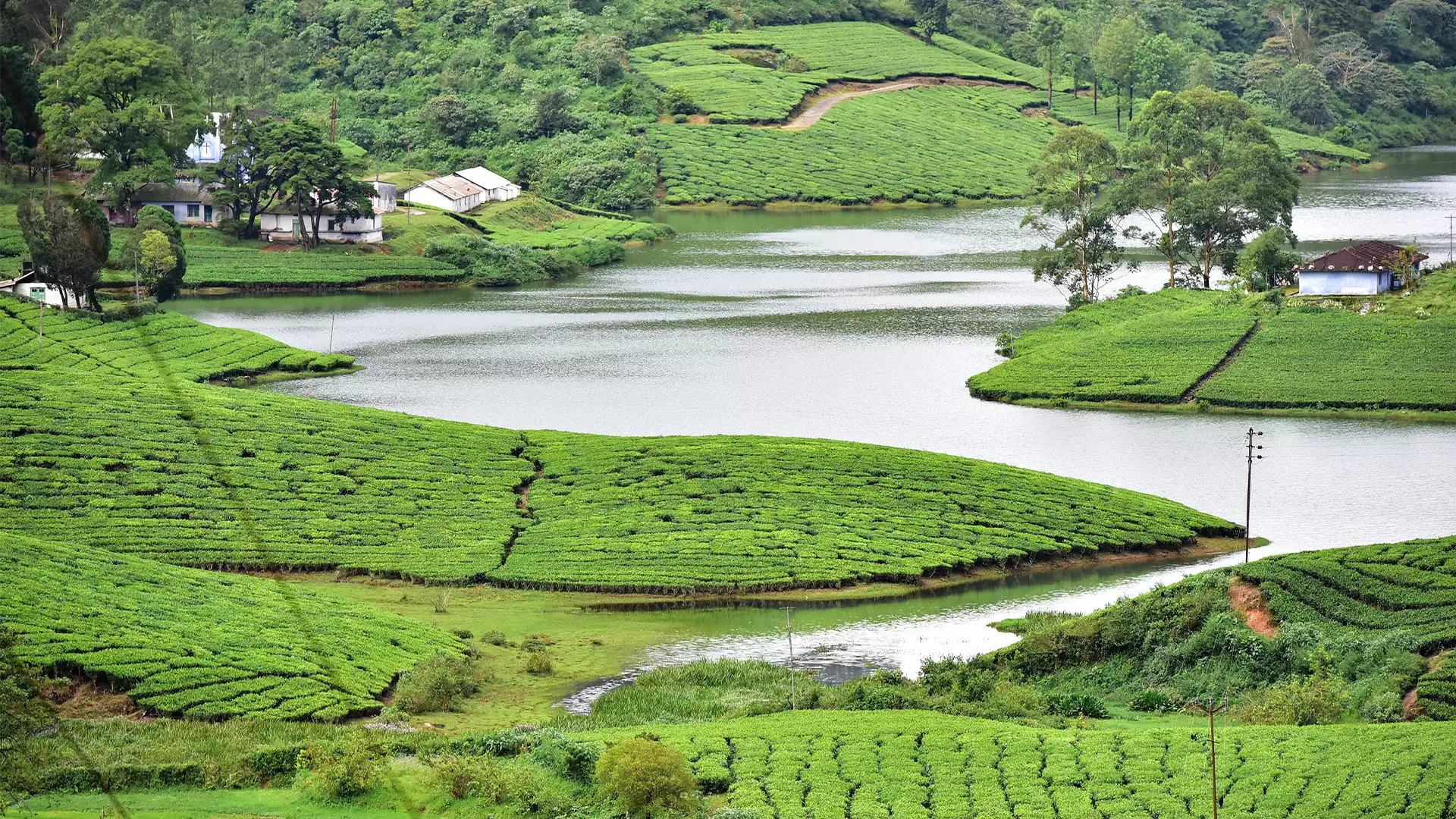 Megamalai 120km far from Madhurai Tamil Nadu