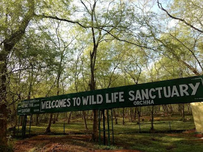 Orchha Wildlife Sanctuary Orchha Madhya Pradesh