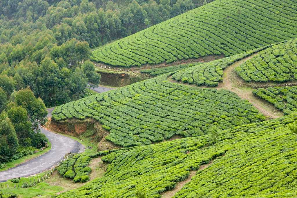 Photo Point Kannan Devan Hills Kerala