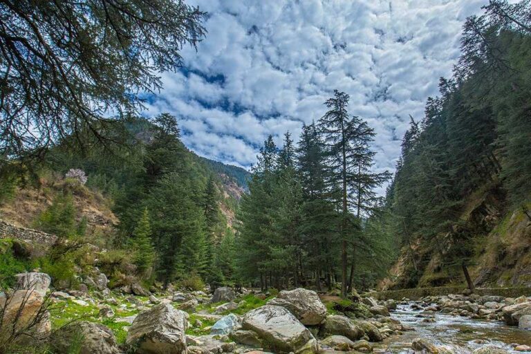 Rasol Kasol Himachal Pradesh