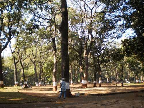 Ryewood Garden Lonavala Maharashtra