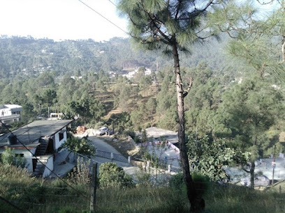 Tarikhet Village Ranikhet Uttarakhand