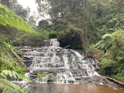 Vattakanal Waterfalls Kodaikanal Tamil Nadu