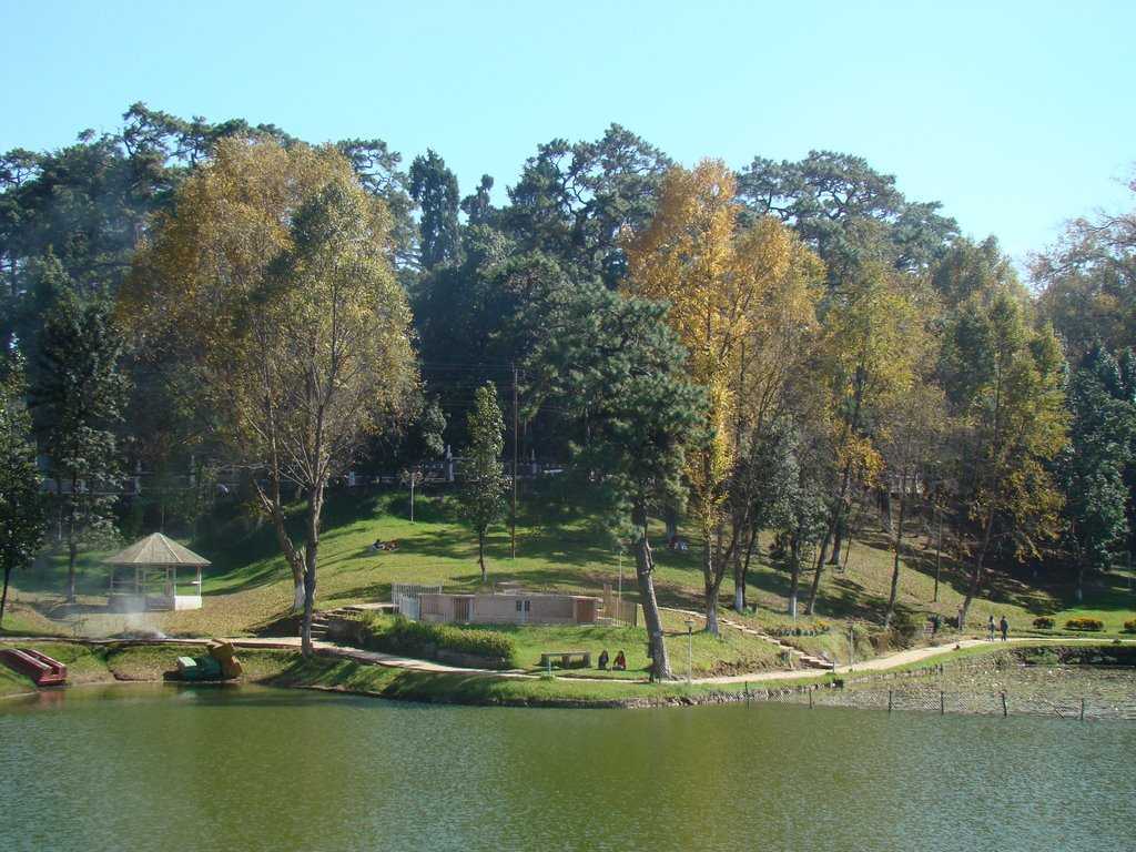Ward’s lake Shillong Meghalaya