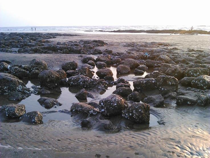 Awas Beach Awas Maharashtra