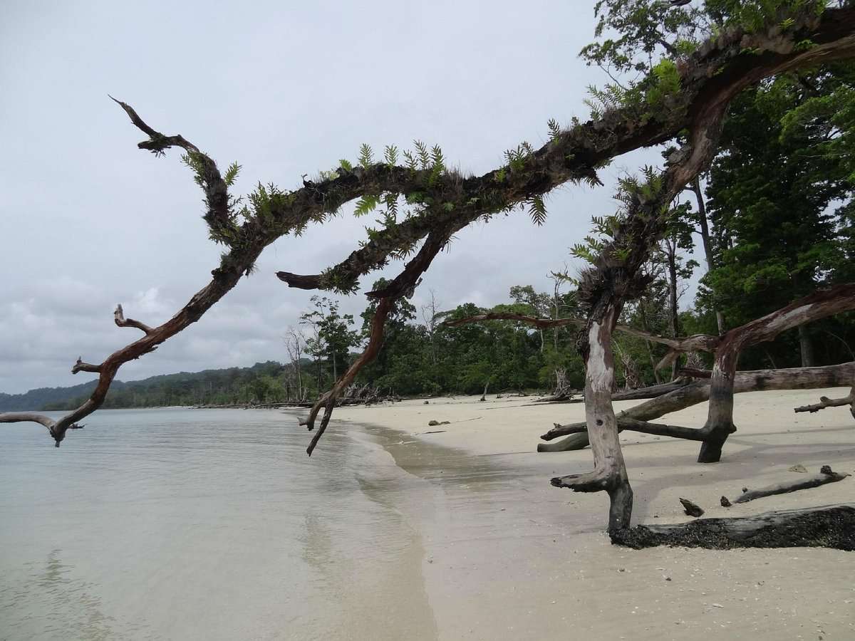 Elephant Beach Port Blair A&N