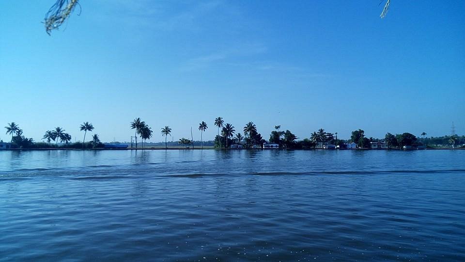 Kayamkulam Kayal Kerala