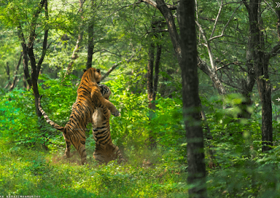 Panna National Park Madhya Pradesh