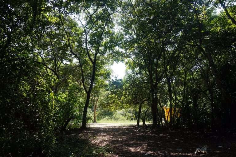 Pathiramanal Island Muhamma Kerala